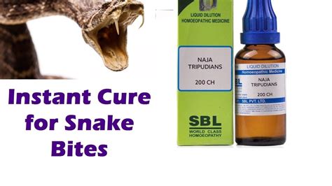 Some Facts The Cheapest And Best Solution For Snake Bite