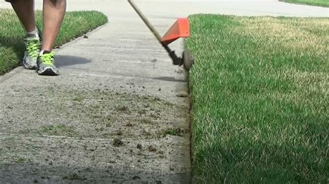 Lawn Care 4 Life 1 Spring Clean Up Youtube