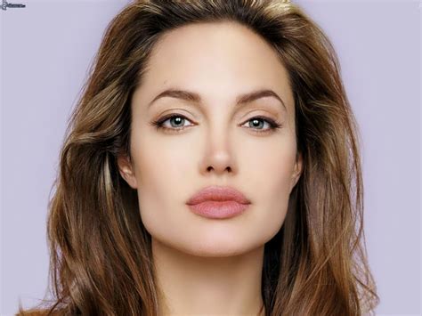 Angelina Jolie Net Worth Age Height Profile Movies Celebrity Net