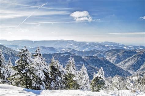Black Forest Winter Wonderland Tour Leger Holidays