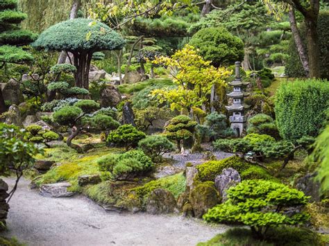 Jardin Japonais Zen Les éléments Principaux Qui Le Composent Et Son