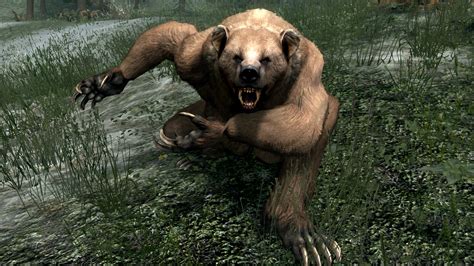 Refined Werebear Replacer Sse At Skyrim Special Edition Nexus Mods