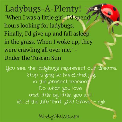 The Ladybug Quote Under The Tuscan Sun Sun Quotes Happy Quotes