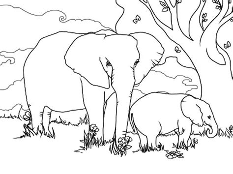 African Elephant And Baby Elephant Under The Tree Coloring Pages