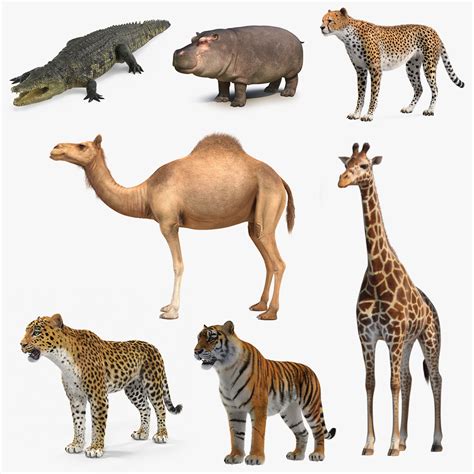 3d Model African Animals Pack Game Ready Animated Mod
