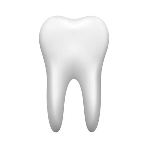 White Tooth Isolated On White Background Stomatology Icon Realistic