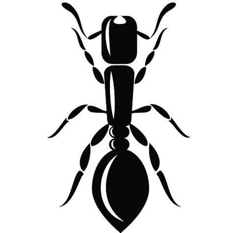 Ant Insect Bug Car Decal Sticker Gympie Stickers
