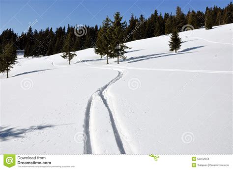 Beautiful Winter Landscape With Ski Tracks In The Snow