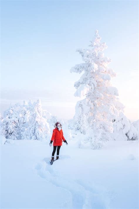 The Ultimate Guide To Visiting Lapland Finland In Winter Lapland