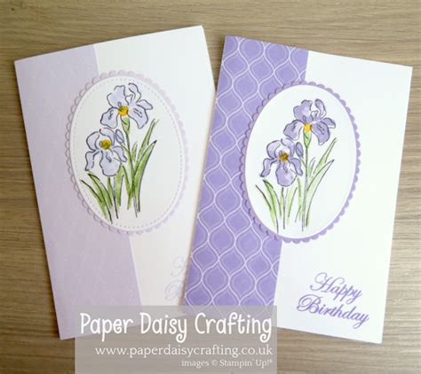 Paper Daisy Crafting Inspiring Iris Birthday Card Birthday Cards