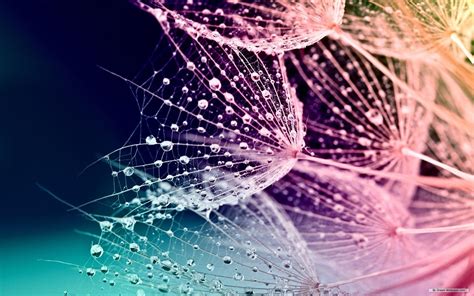 We did not find results for: Color Splash Wallpapers - Wallpaper Cave
