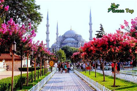 السياحية في تركيا - جرين توب