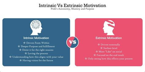 Intrinsic And Extrinsic Motivation Whats Better For Learning Wyblo