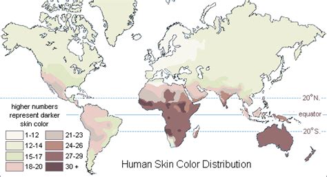 Did You Know Why Do People Have Different Colors Of Skin