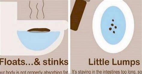 The Science Behind Your Poop And What It Says About Your Body