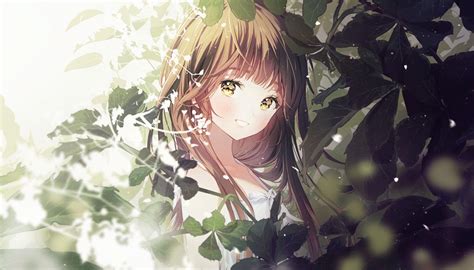 Brown Hair Anime Wallpapers Top Free Brown Hair Anime Backgrounds