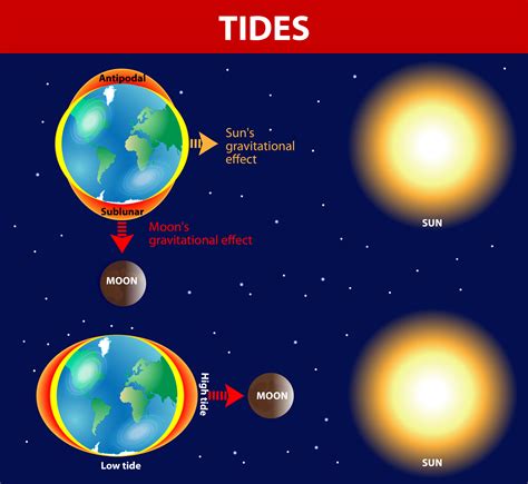 How Tides Are Formed