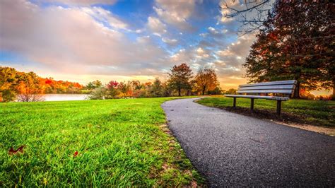 Road Between Green Grass Field And Wood Bench Trees And Landscape View