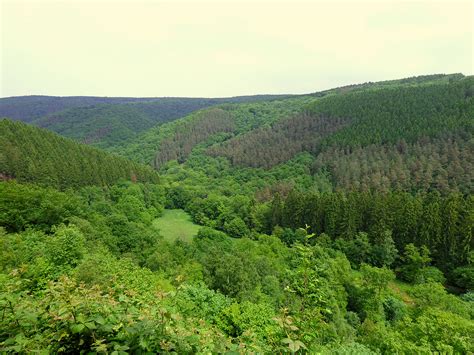 Watch short videos about #ninglinspo on tiktok. Wandeling van de Ninglinspo | Ardennes Étape