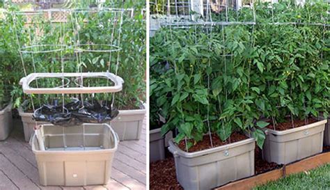 The Best Self Watering Container Gardening System References