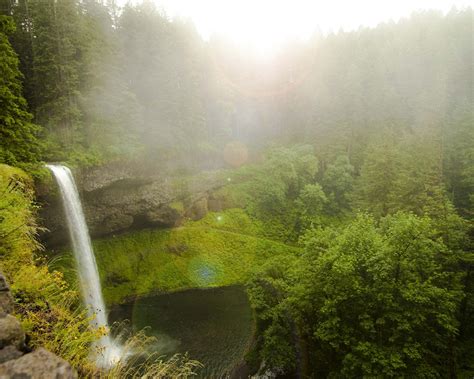 Forest Waterfall Morning Fog 2019 Hd Desktop Preview