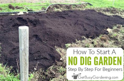 No Dig Gardening 101 How To Start A No Till Garden