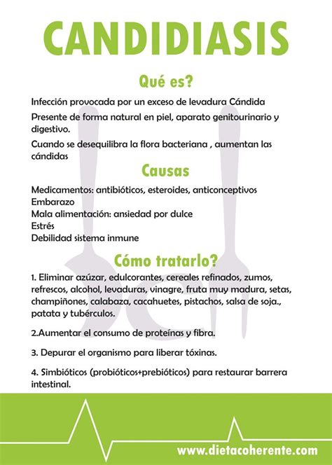 Dieta Para Candidiasis Cronica Dietzc