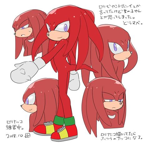 knuckles the echidna sonic and shadow echidna sonic and friends