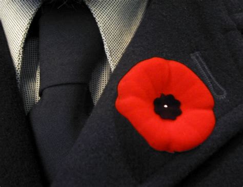 How Did The Poppy Become The Symbol Of Remembrance Day Brant Florist Blog