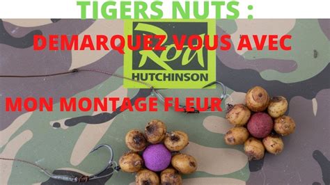 Le Montage Fleur Peche De La Carpe Presentation Avec Des Tigers Nuts