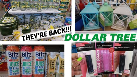 Dollar Tree Finds September 2024 - Corry Doralyn