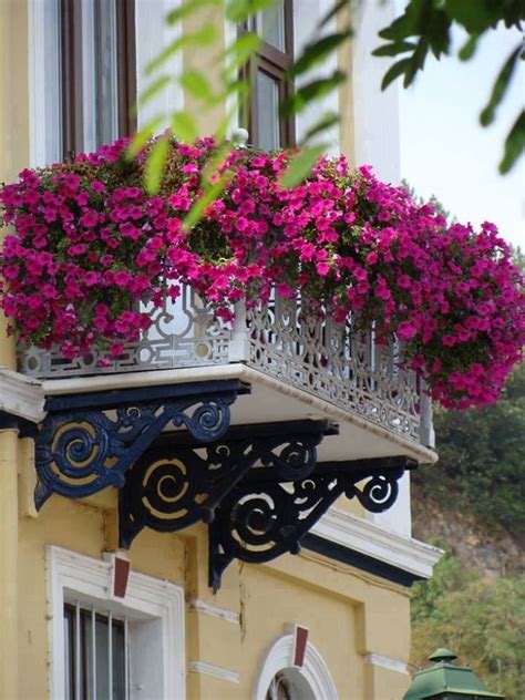 Campanillas, petunias colgantes, lantana, geranios de. Balcón florido | Jardín de balcón pequeño, Flores en caja, Flores del balcón