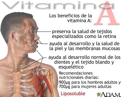 Beneficios De La Vitamina A Medlineplus Enciclopedia M Dica Illustraci