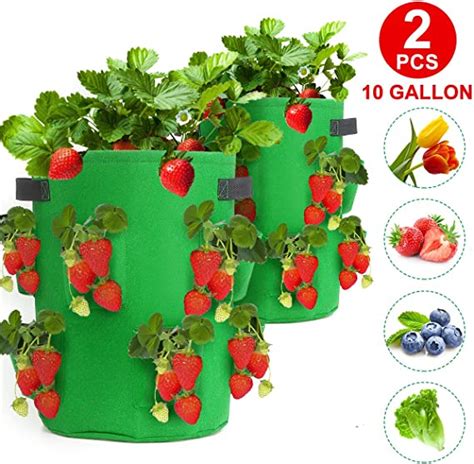 Caveen Strawberry Grow Bags2 Pack 10 Gallon Eco Friendly Strawberry