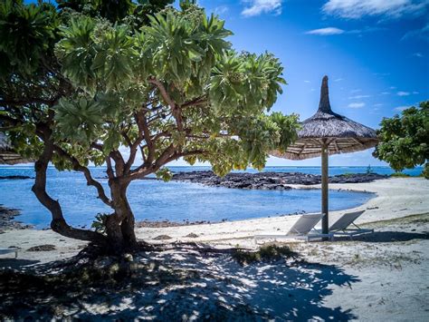 Was tun in Mauritius? 10 Reisetipps für die paradiesische Insel! | Mauritius urlaub, Mauritius ...