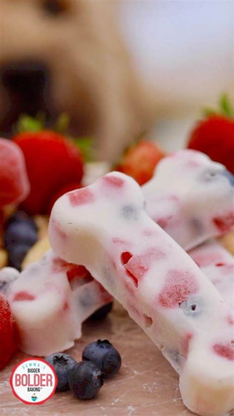 Yogurt And Berries Dog Treats Gemmas Bigger Bolder Baking Recipe