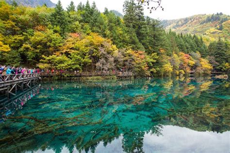 Jiuzhaigou Five Flower Lake Editorial Photography Image Of 39887842