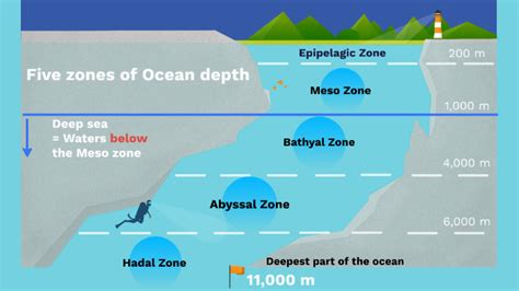 Deep Sea Zones By Jason Tang On Prezi