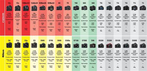 Cameras Canon Dslr Comparison Photography Basics Camera Comparison