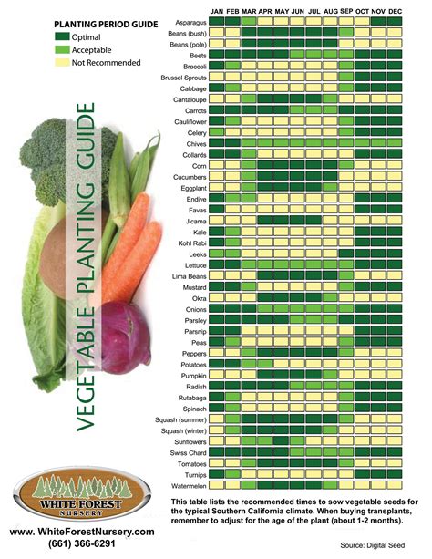 When To Plant Veggies Vegetable Planting Guide Food Garden Vegetables