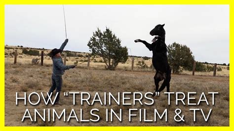 You Have To See How These Trainers Treat Animals Used For Film And Tv