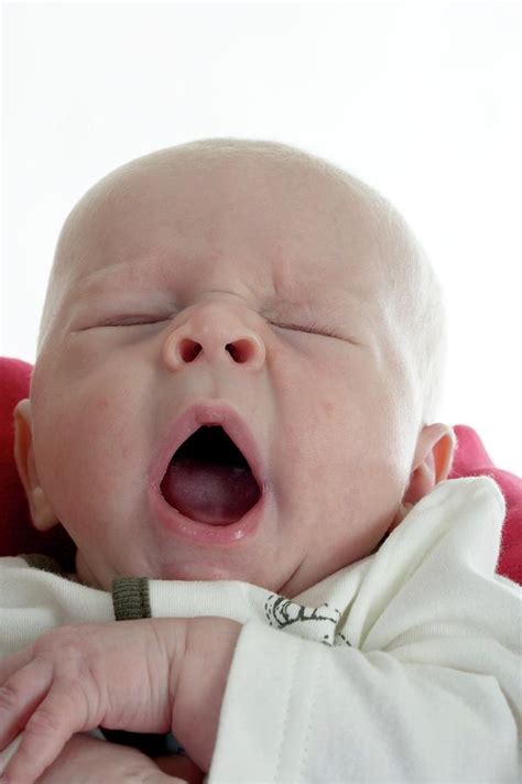 Baby Boy Yawning Photograph By Simon Boothscience Photo Library