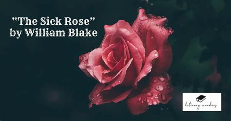 “the Sick Rose” By William Blake Literarywonders