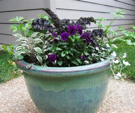 Our Front Porch Winter Container Gardens Winter Container Gardening