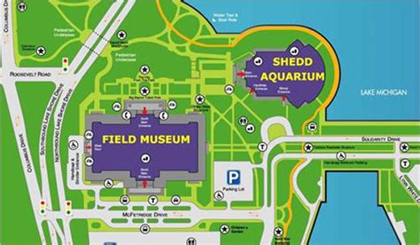Shedd Aquarium Chicago Atrakcje Museum Campus