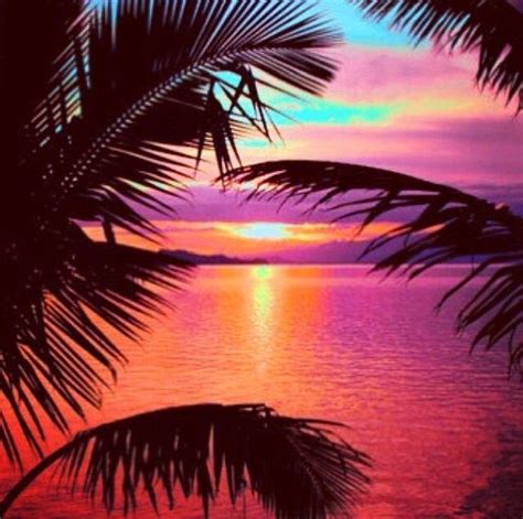 Amazing Tropical Sunset Pictures Photos And Images For Facebook