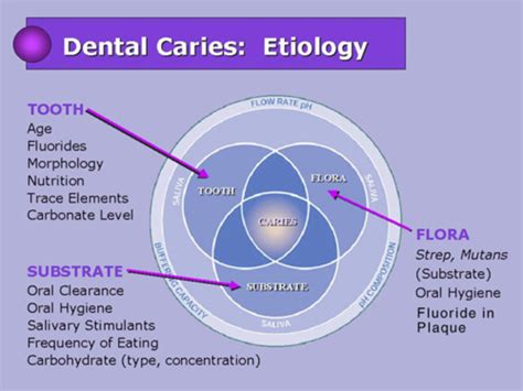 Dental Caries Epidemiology Etiology And Classification Flashcards