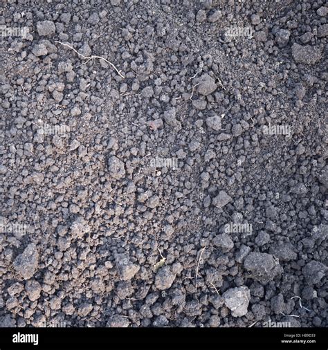 Black Soil Texture High Resolution Stock Photography And Images Alamy