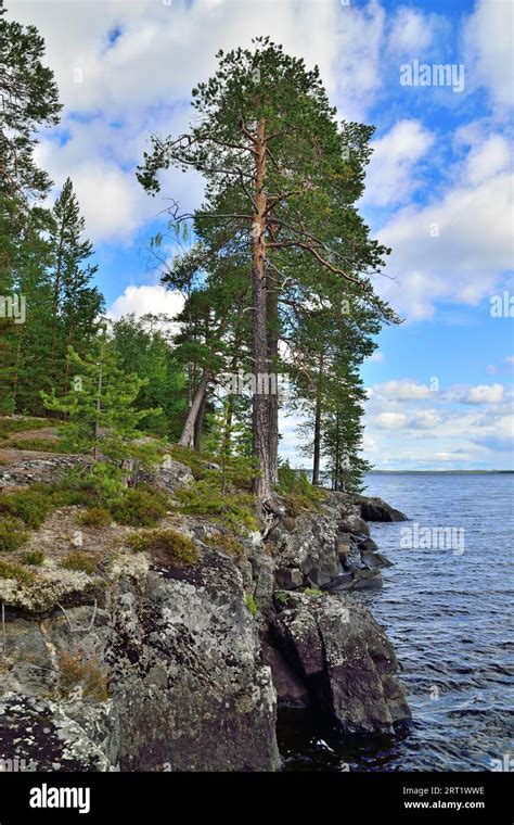 Karelian Landscape Rocks Pine Trees Sky And Water Lake Keret