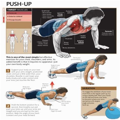 The chest workout from hell. Push-Up Exercise - Healthy Fitness Chest Workout Plan ...